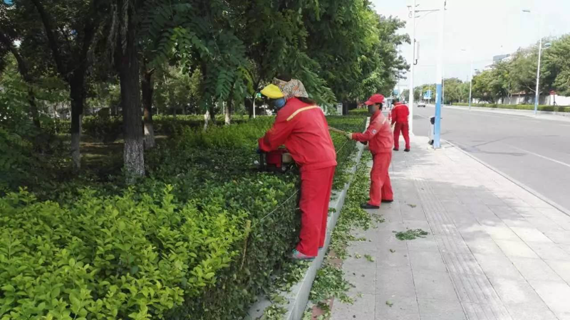 办公楼物业:打造舒适办公环境的幕后英雄